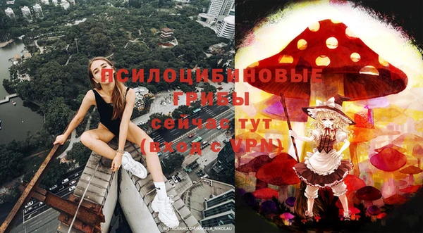 мескалин Краснослободск