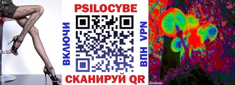 Купить где  Волоколамск  Псилоцибиновые грибы мицелий 