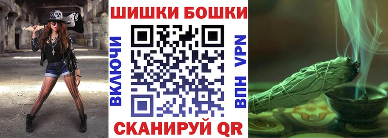 Купить где Волоколамск Канабис SATIVA & INDICA